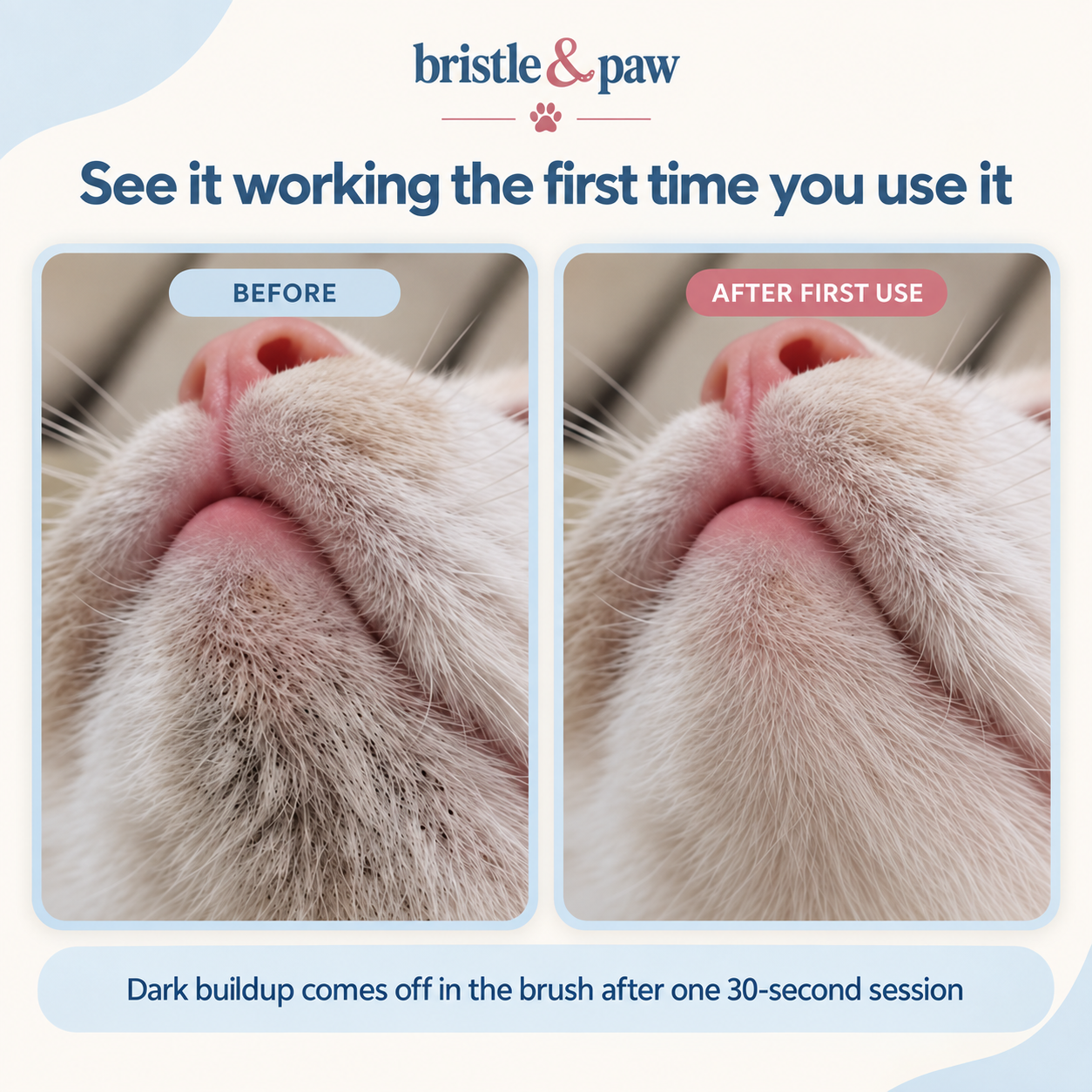 Bristle & Paw cleanser and brush kit